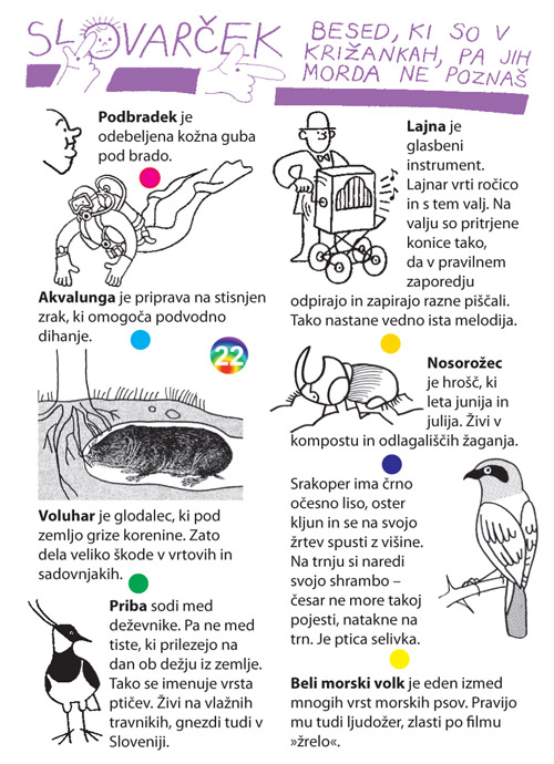 Revija Petka